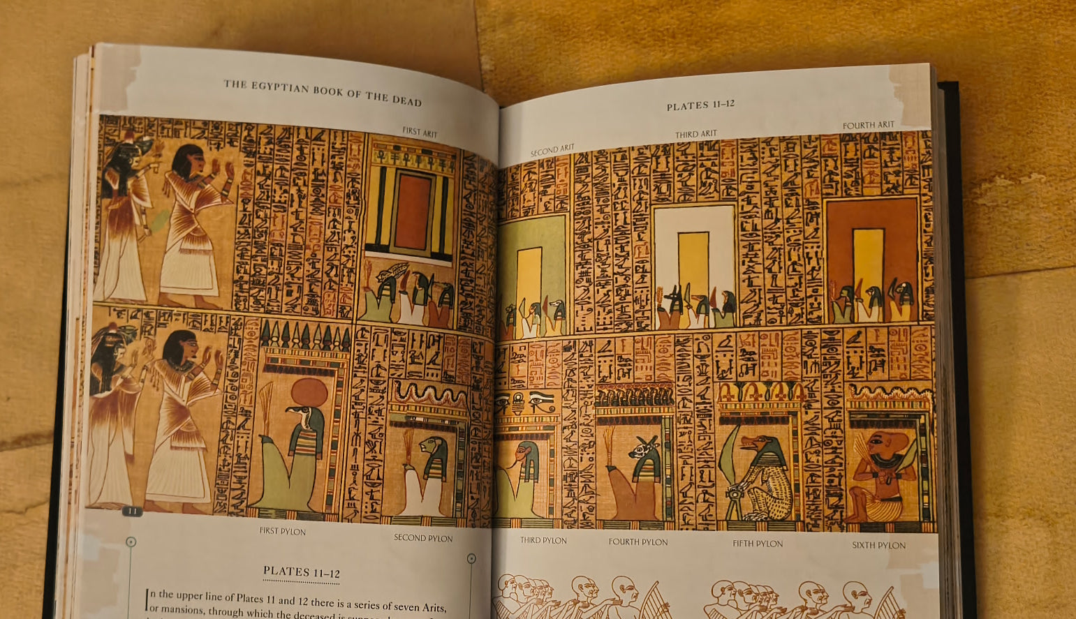 Open book with illustrations of ancient Egyptian scenes on a beige background