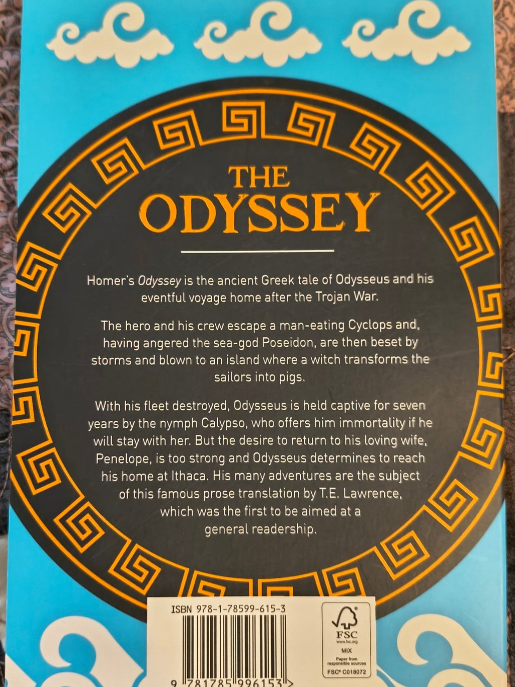 Homer's "The Odyssey" - Paths and Places