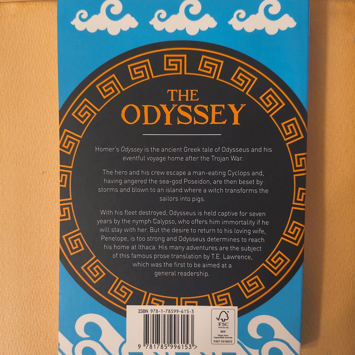 Homer's "The Odyssey" Paperback - Paths and Places