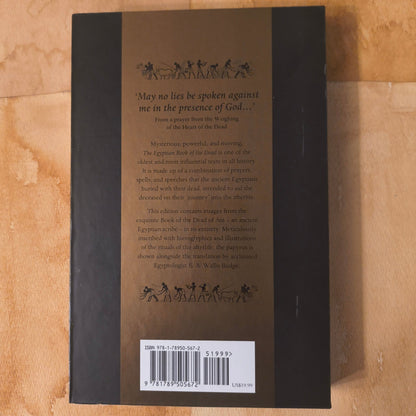 Illustrated Egyptian Book of The Dead - Paths and Places
