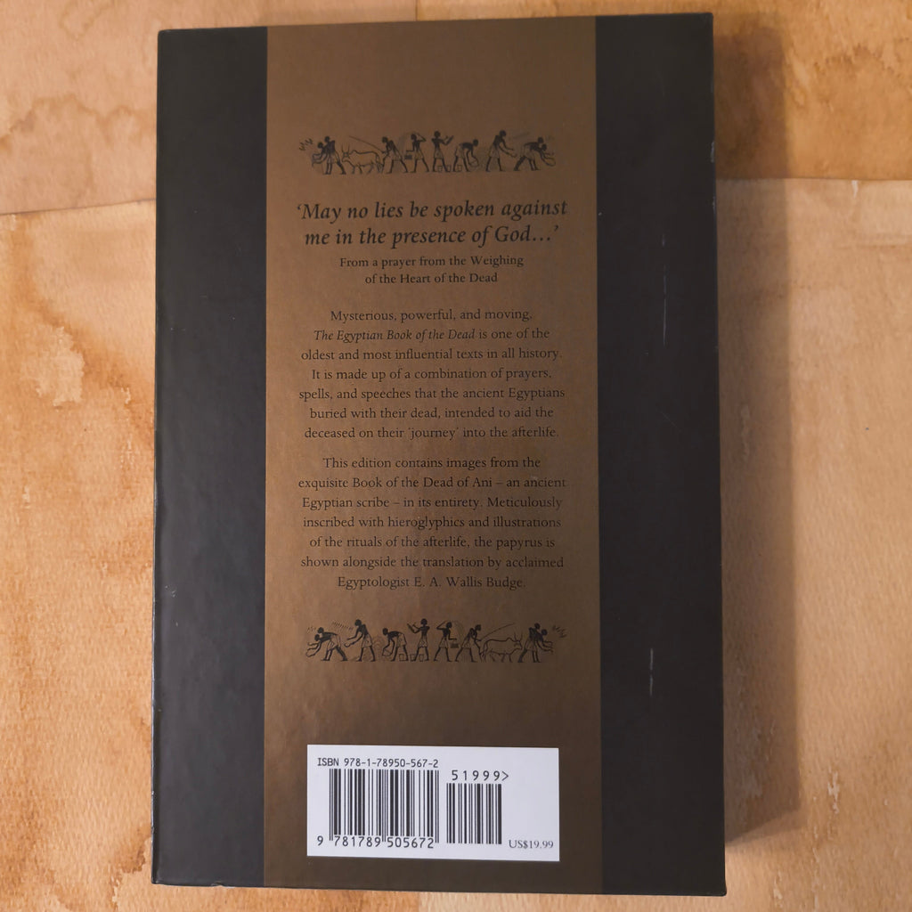 Illustrated Egyptian Book of The Dead