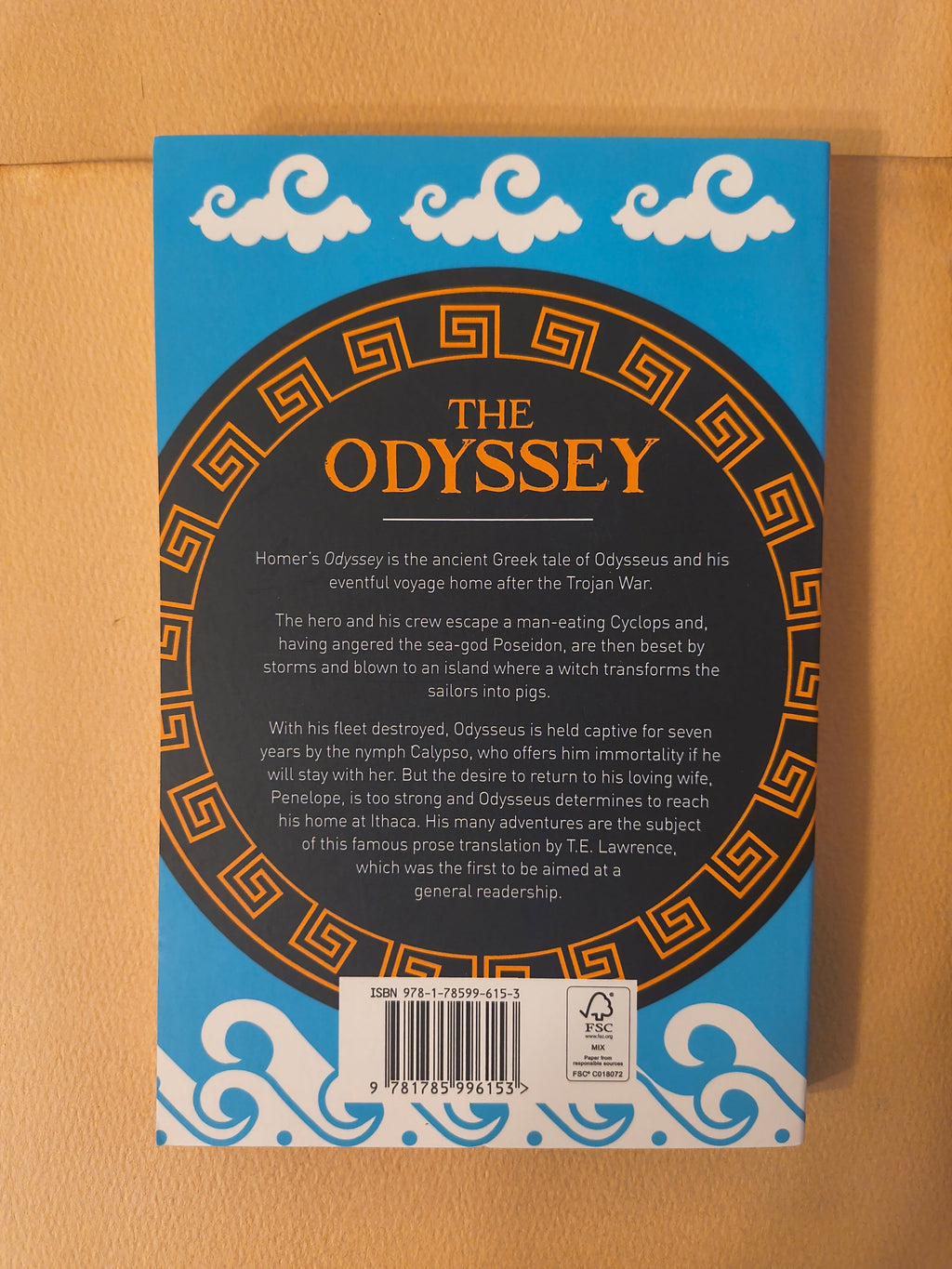 Homers „Die Odyssee“ Taschenbuch