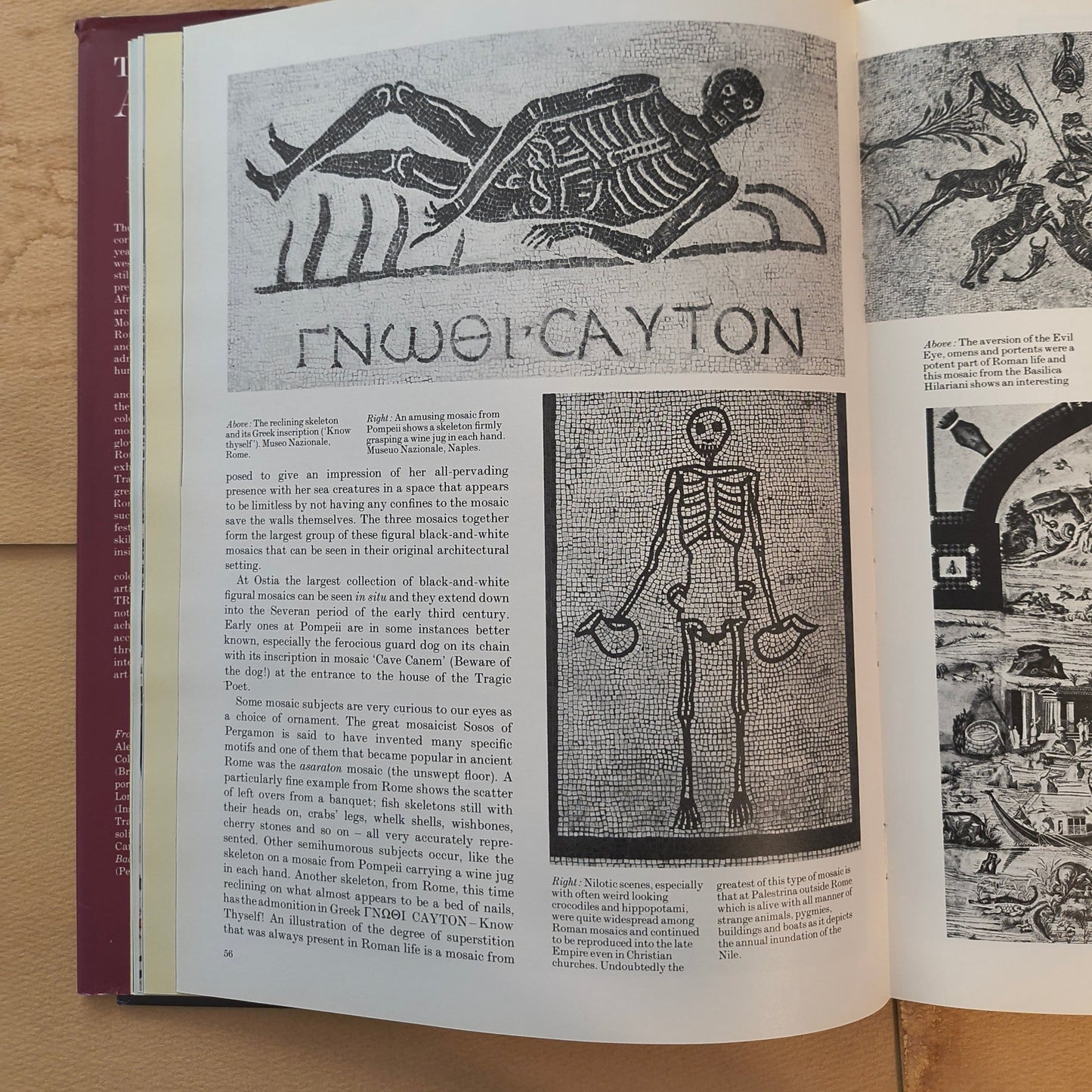 Treasures of Ancient Rome Hardcover Collectible - Paths and Places